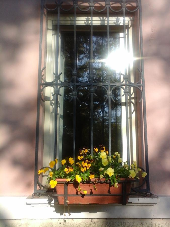 Argenta Ca Morari Bed & Breakfast エクステリア 写真