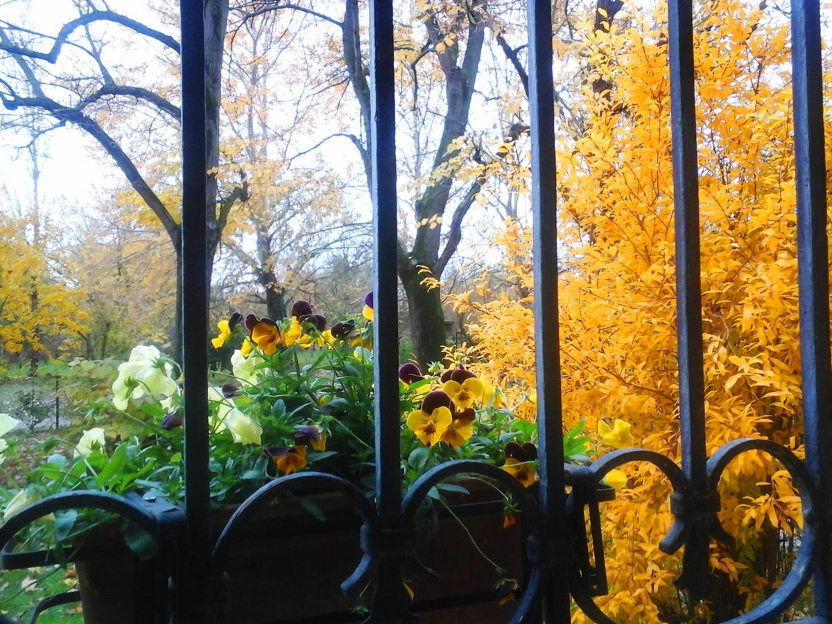 Argenta Ca Morari Bed & Breakfast エクステリア 写真