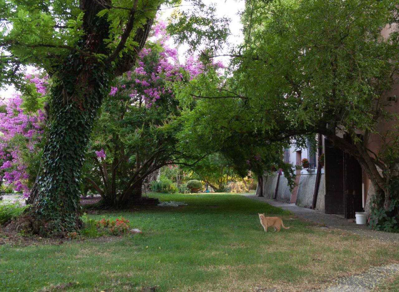 Argenta Ca Morari Bed & Breakfast エクステリア 写真